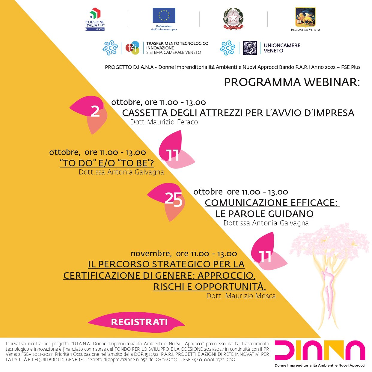 webinar Progetto D.I.A.N.A